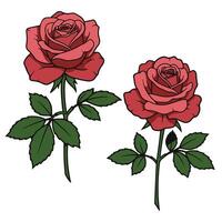 Red rose and skates detailed illustration set for dynamic design and branding art vector