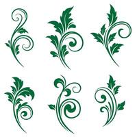 Botanical swirl leaves ornament set for frame design page borders and classic prints vector