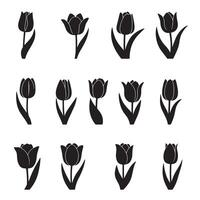 Botanical tulip icon collection in simple silhouette style for decorative design vector