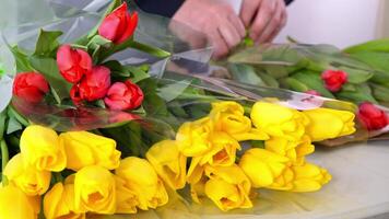 Florist arranging vibrant yellow and red tulips for a beautiful flower bouquet display video