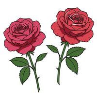 Rose and skates theme art illustration set for custom sticker and print design vector