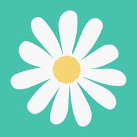 Chamomile flower.Top view.Spring or summer design element for postcard or advertisement.Botanical illustration on isolated background. vector