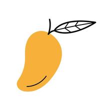 Whole ripe mango with twig and leaf. Hand drawn sketch icon of fruit. Isolated illustration in doodle line style. vector