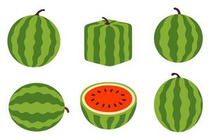 Composition of watermelon slices, cubes, seeds and whole fruit in one layout vector