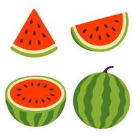 Set of watermelon slices and whole fruits in different angles and cross-sections on white background vector