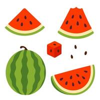 Watermelon slice set with seeds, cubes, skewers, and juicy details on white background vector
