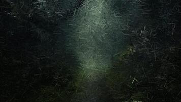 Creepy scene in a foggy forest, made of sharp fragments video