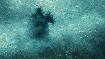 Horrible morning scene with a horseman in the fog, made of sharp fragments video
