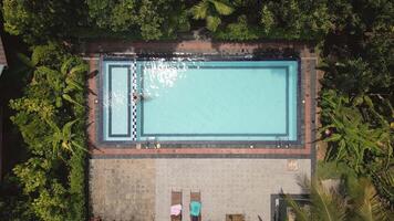 Top down view serene scene woman enjoying swim in private pool deep within Sri Lanka lush and isolated wilderness in topical forest. Tranquil retreat offer peace, natural beauty. Perfect escape video