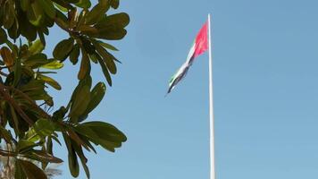 le Émirats arabes unis nationale drapeau agitant dans le vent, symbolisant fierté, unité, et le esprit de le émirats. une puissant nationale emblème affiché contre iconique arrière-plans ou clair ciels video
