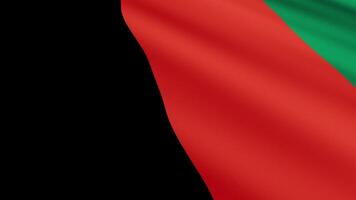 Afghanistan Flag Waving Gently in the Wind, Close-Up Full-Frame Perspective, Soft Fabric Texture, Slow Motion, Natural Movement, Waving Flag Background video