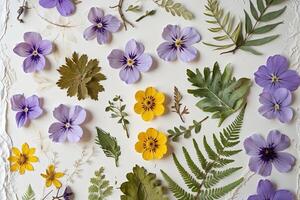 Arrangement of Pressed Pansies, Other Flowers, and Foliage photo