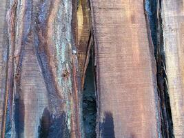 Mahogany wood texture material for furniture isolated abstract background photo