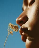 A poetic close-up portrait of a persons face in warm sunlight, with closed eyes and soft lips gently approaching a delicate dried wildflower. photo