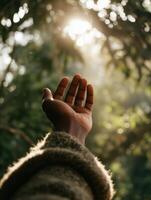 A cinematic close-up of an outstretched hand reaching toward a warm beam of sunlight filtering through tree branches in a forest. photo