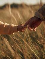 A poetic close-up of a childs small hand gently touching an adults hand, set against a softly blurred background of a golden grassy field. photo