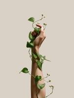 A minimalistic studio photo of a raised hand wrapped with a delicate green vine bearing small white blossoms, set against a clean beige background.