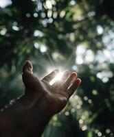 A cinematic photo of a human hand reaching toward a bright beam of sunlight filtering through trees in a lush forest.