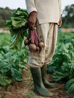 A close-up of a person holding a bunch of freshly harvested beets by their long leafy stems, standing in a vegetable garden with rows of green beet leaves. photo