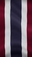 Thailand Waving Flag in Vertical Orientation. Realistic Flag Animation. Seamless Loop Background. video