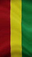 Bolivia Waving Flag in Vertical Orientation. Realistic Flag Animation. Seamless Loop Background. video