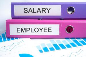 Salary Employee, Binder data finance report business with graph analysis in office. photo