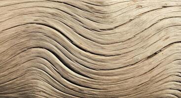 Pale Driftwood Texture with Smooth Curves and Natural Wood Grain photo