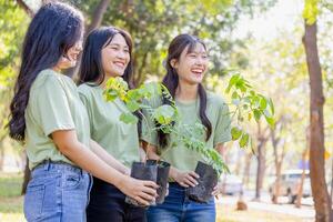 Cheerful woman holding a sapling in a green park, female volunteer team with a tree smiling cheerfully photo