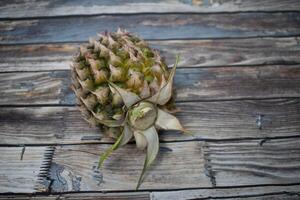 A tropical pineapple without its crown, revealing the rough texture and earthy tones of the fruit's surface. photo