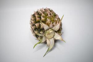 Ripe pineapple lying on a white background, showing its spiky skin. photo