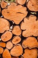 Close up on a pile of chopped wood for burning, with round logs and wedge timber stacked to form a background photo