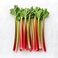 Fresh Red Rhubarb Stalks Isolated Overhead photo