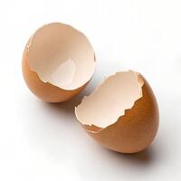 Two Halves of a Broken Brown Eggshell photo