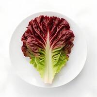 Fresh Red Oak Leaf Lettuce Isolated Overhead photo