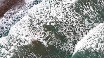 Aerial drone journey from the ocean inland capturing vibrant equestrian facilities, lush agricultural fields, and scenic coastal landscapes with dynamic transitions video