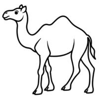 Simple line art illustration of a camel standing in profile on white background vector