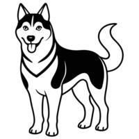 Black and white husky dog illustration standing calmly with a happy expression vector