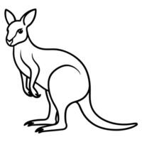 Isolated kangaroo outline illustration standing upright with detailed paws and tail design vector