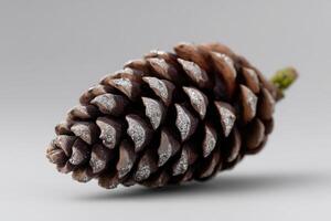 Pine cone resting on a smooth surface showcasing its intricate patterns and textures photo