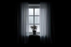 Plant on a windowsill behind sheer curtains creates a serene indoor atmosphere in soft light photo