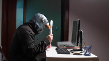 hacker vestindo Pombo mascarar analisando computador tela com ampliação vidro. espião golubiro video