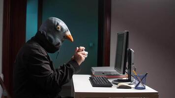 Pombo mascarar hacker levando As fotos com digital Câmera às computador escrivaninha video