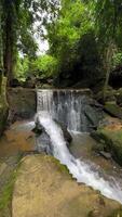A medium shot captures a small, picturesque waterfall gently cascading over moss-covered rocks into a clear stream within a vibrant green tropical forest. The scene evokes tranquility and the beauty video