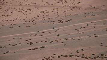Motorcyclists Riding Through Desert Valley video