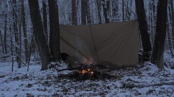 A campfire crackles in front of a makeshift shelter in a serene snowy forest. The surrounding trees are blanketed in white, creating a peaceful winter atmosphere. video