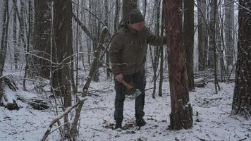 A man is chopping wood in a snowy forest, surrounded by tall trees. The snowfall creates a serene winter atmosphere while he works diligently with an axe video