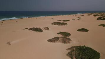 zumbido aéreo de corralejo dunas y Oceano ver en un brillante soleado día en fuerteventura video