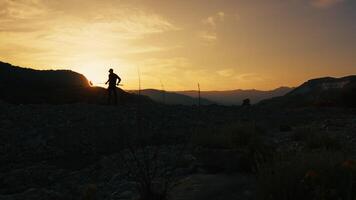 Silhouette Of A Sound Recordist With Boom Is Capturing Background Nature Sound video
