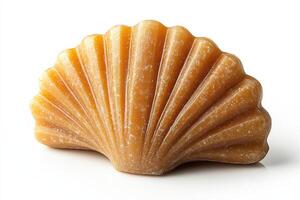 Unique shell-shaped soap made from natural ingredients for decorative purposes photo