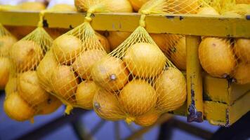 Freshly harvested oranges on a market cart video